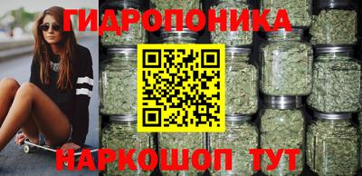 сатива Краснокаменск