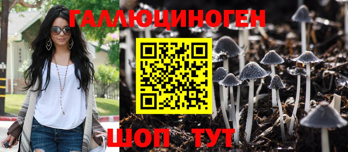 Галлюциногенные грибы ЛСД Ефремов