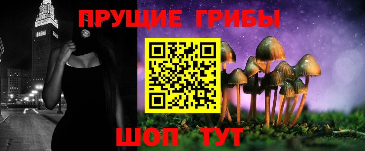 Ефремов  Псилоцибиновые грибы Psilocybine cubensis  Вход с VPN  Псилоцибиновые грибы Psilocybe 